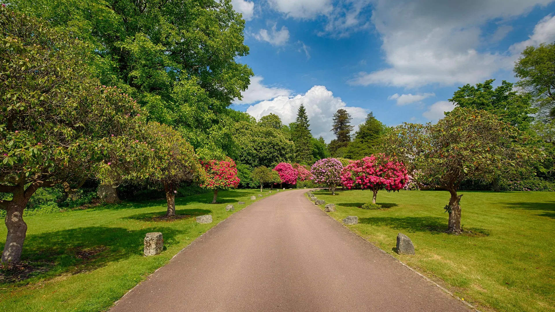 Best Western Chilworth Manor Hotel 3*, Chilworth (Hampshire) בריטניה